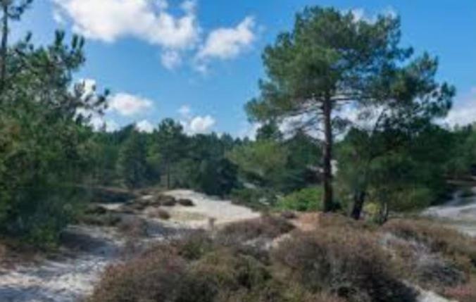 Huisje Britt Met Grote Tuin En Veel Privacy Dirkshorn Екстер'єр фото