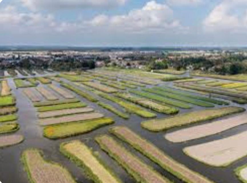 Huisje Britt Met Grote Tuin En Veel Privacy Dirkshorn Екстер'єр фото